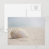 Carte Postale Coquillage de mollusque (Devant / Derrière)
