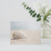 Carte Postale Coquillage de mollusque (Debout devant)
