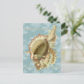 Carte postale Coquillage de style vintage et dente (Debout devant)