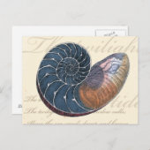Carte Postale Coquillage romantique (Devant / Derrière)