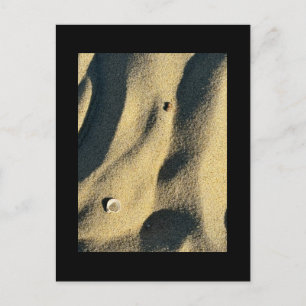 Carte postale Coquillage Sable et Ombres