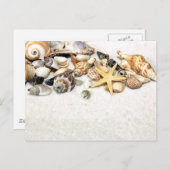 Carte postale Coquillages (Devant / Derrière)