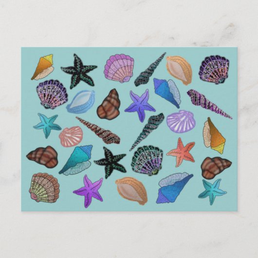 Carte Postale Coquillages (Devant)