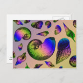 Carte Postale Coquillages (Devant / Derrière)