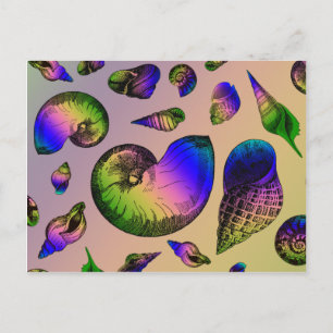 Carte Postale Coquillages