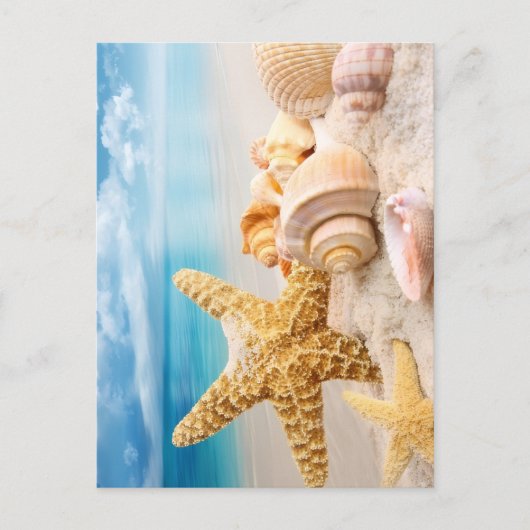 Carte Postale Coquillages  (Devant)