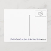 Carte Postale coquillages (Dos)