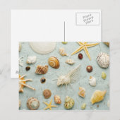 Carte Postale Coquillages assortés sur arrière - plan bleu (Devant / Derrière)