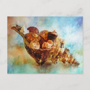 Carte Postale Coquillages dans une aquarelle à Cheval Conch
