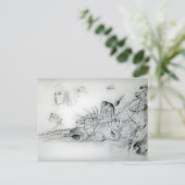 Carte Postale COQUILLAGES ET JEUNE FILLE Dessin Noir Blanc (Debout devant)