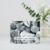 Carte Postale Coquillages Noir et Blanc Nouveau Faire-part d'adr (Debout devant)