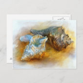 Carte Postale Coquillages sur la plage (Devant / Derrière)