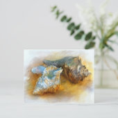 Carte Postale Coquillages sur la plage (Debout devant)