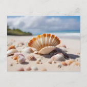 Carte Postale Coquillages sur la plage (Devant)