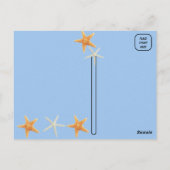 Carte Postale Coquillages sur la plage - Florida Life (Dos)