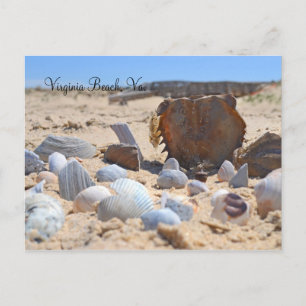 Carte Postale Coquillages sur la plage par Shirley Taylor