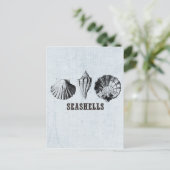 Carte Postale Coquillages Vintage (Debout devant)