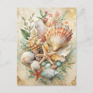 Carte Postale Coquillages Vintage Étoile de Mer Océan Plage Côti