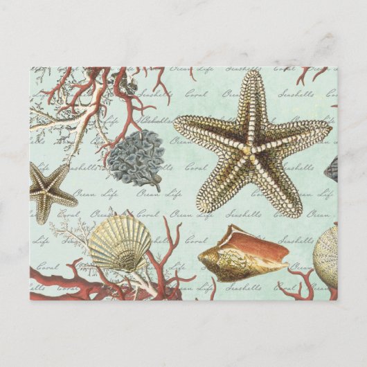 Carte Postale Coquillages vintages...carte postale (Devant)