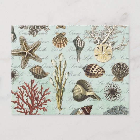 Carte Postale Coquillages Vintages modernes (Devant)