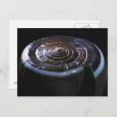 Carte Postale Coquille de cône (Devant / Derrière)