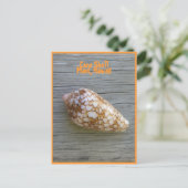 Carte Postale Coquille de cône (Debout devant)