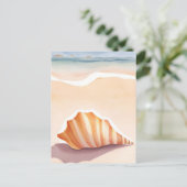 Carte Postale Coquille de Conque | Coquillage de Mer Côtière de (Debout devant)