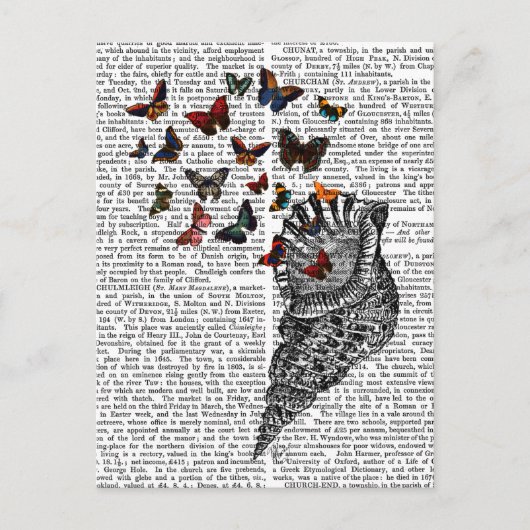 Carte Postale Coquille de conque et papillons 2 (Devant)