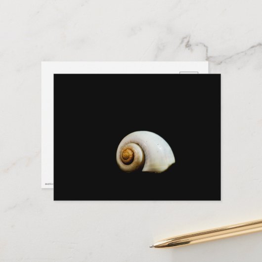 Carte Postale Coquille de Lune (Devant/Arrière en situation)