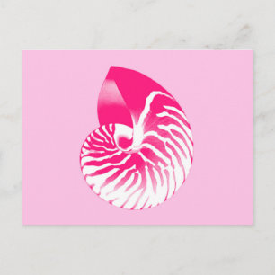 Carte Postale Coquille de nautile - rose fuchsia et blanc