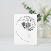 Carte Postale Coquille de Nautilus 1 (Debout devant)
