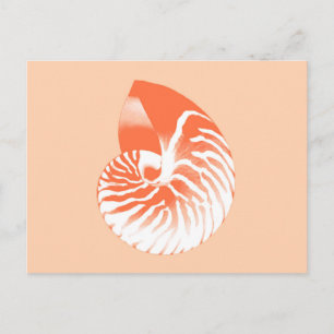 Carte Postale Coquille de Nautilus - corail orange et blanc