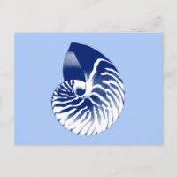 Coquille de Nautilus - marine, blanc & bleu clair