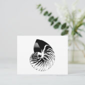 Carte Postale Coquille de Nautilus - noir, gris et blanc (Debout devant)