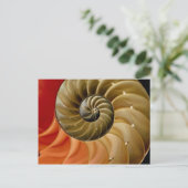 Carte Postale Coquille de Nautilus Photo (Debout devant)