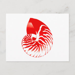 Carte Postale Coquille de Nautilus - rouge foncé et blanc