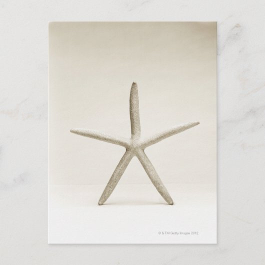 Carte Postale Coquille de poisson (Devant)