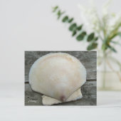 Carte Postale Coquille de saint Jacques (Debout devant)