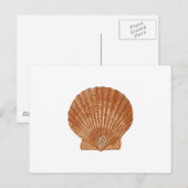 Carte Postale Coquille de saint-jacques de baie (Devant / Derrière)