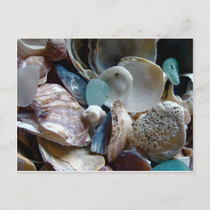 Carte Postale Coquille de verre marin collectée