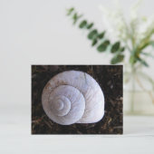 Carte Postale Coquille d'escargot cool (Debout devant)