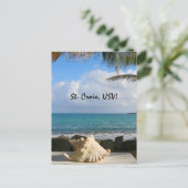 Carte Postale Coquille maritime (Debout devant)