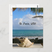 Carte Postale Coquille maritime (Devant / Derrière)