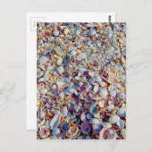 Carte Postale Coquilles de mer (Devant / Derrière)