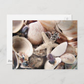 Carte Postale Coquilles de mer (Devant / Derrière)
