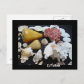 Carte Postale coquilles de Zanzibar (Devant / Derrière)