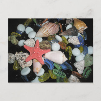 Carte Postale Coquilles et roches de mer