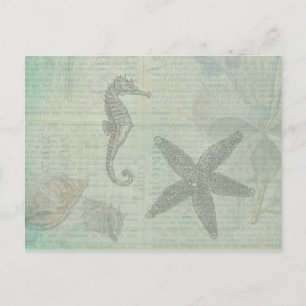 Carte Postale Coquilles marines vintages, Starfish et Sea Horse