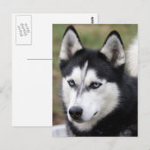 Carte Postale coquin (Devant / Derrière)