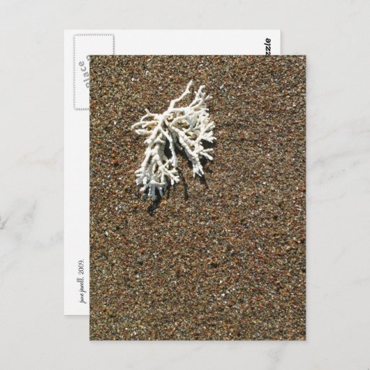 Carte Postale Corail (Devant / Derrière)